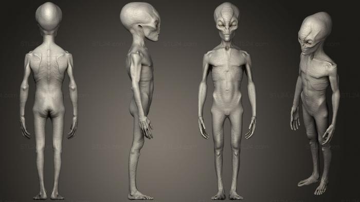Figurines heroes, monsters and demons (Grey Alien8, STKM_0839) 3D models for cnc